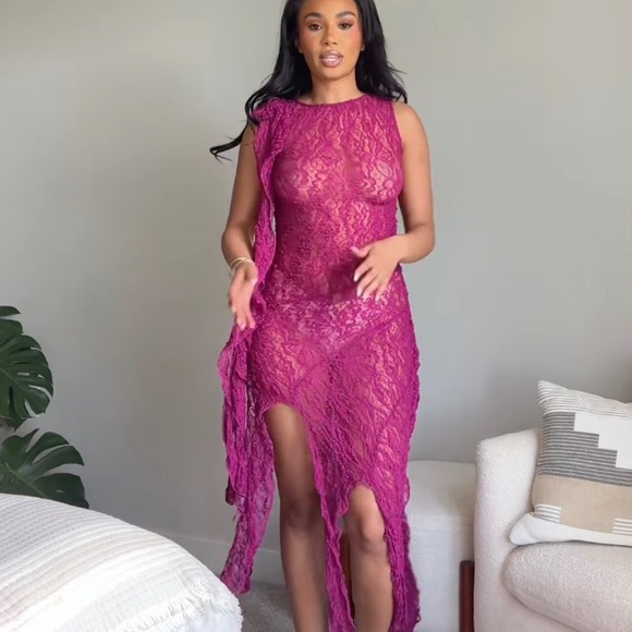 SOLD!!! Zara sheer lace dress - Picture 3 of 4